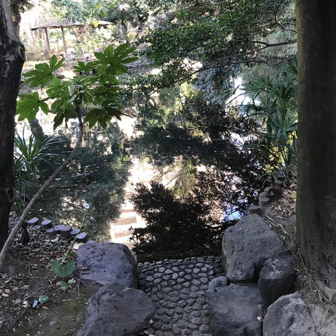 星渓園